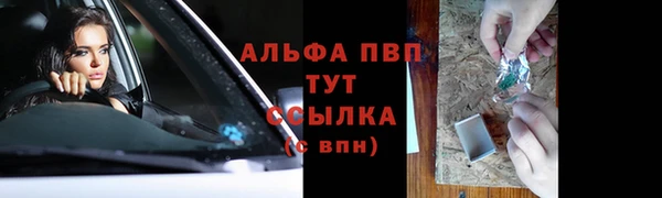 индика Вяземский