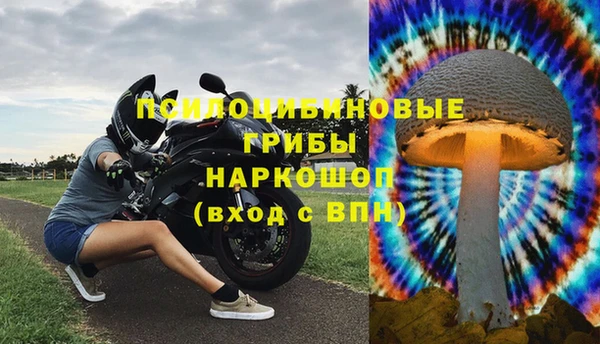 а пвп мука Надым