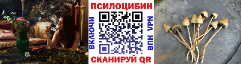 mega как войти  Пугачёв  Галлюциногенные грибы MAGIC MUSHROOMS 